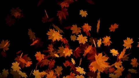 Autumn maple leaves falling animation Stock Footage 307937642