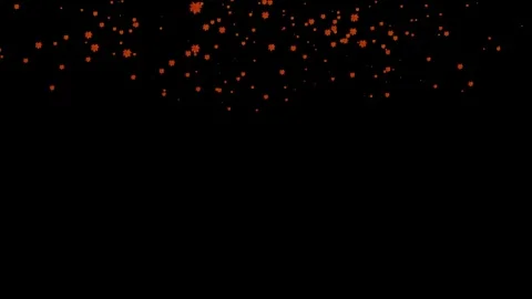 Autumn maple leaves falling animation Stock Footage 307937654