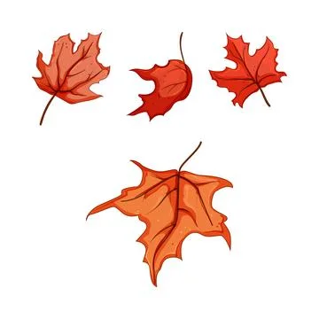 Autumn maple leaves falling changing season Stock Illustration