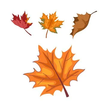 Autumn maple leaves falling changing colors seasonal symbol Stock Illustration