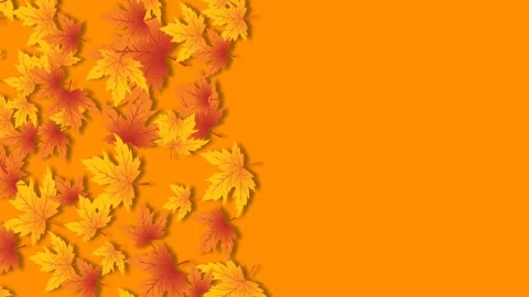 Autumn Maple Leaves Falling on Orange Background with Copy Space Stock Footage 343875774
