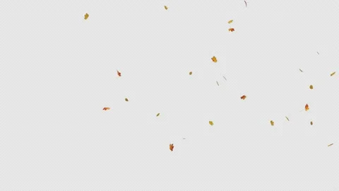 Autumn Maple Leaves Stock Footage 155724272