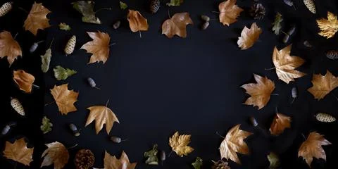 Autumn maple leaves frame on dark background with copyspace from above. Nov.. Foto stock