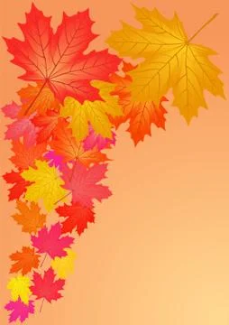 Autumn maple leaves. Stock Illustration