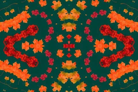 Autumn maple leaves Stock Illustration