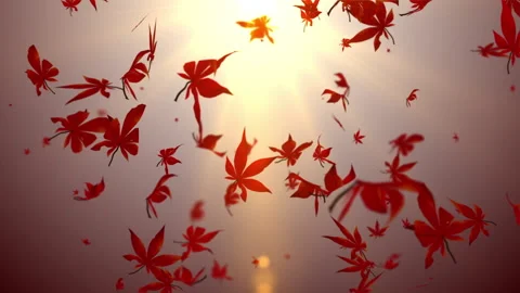 Autumn maple leaves particle loop animation Vídeos de archivo 146124150