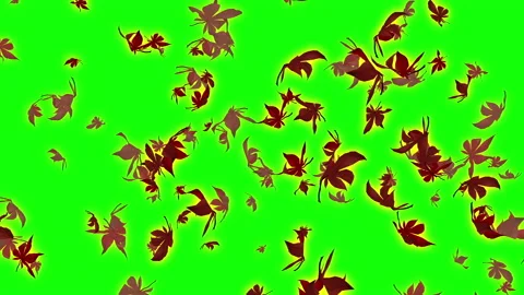 Autumn maple leaves particle loop animation green screen Stock Footage 146152211