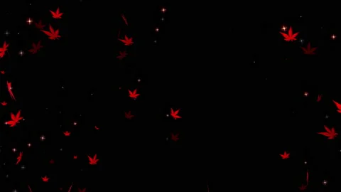 Autumn maple leaves particle loop animation Stock Footage 162893745