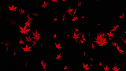 Autumn maple leaves particle loop animation Stock Footage 162894604