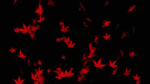 Autumn maple leaves particle loop animation Stock Footage 162894654
