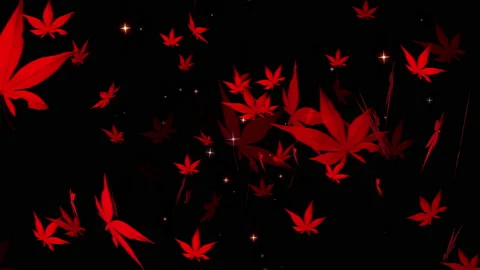 Autumn maple leaves particle loop animation Stock Footage 162894682