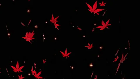 Autumn maple leaves particle loop animation Stock Footage 162894783