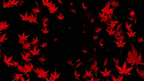 Autumn maple leaves particle loop animation Stock Footage 162894831