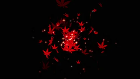 Autumn maple leaves particle loop animation Stock Footage 162895211
