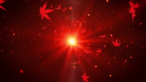 Autumn maple leaves particle loop animation Stock Footage 171922653