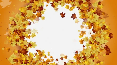 Autumn maple leaves in round frame. Yellow wreath of tree leaves Stock Footage 250027251
