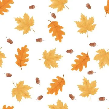 Autumn maple leaves on a white background. Stock Illustration