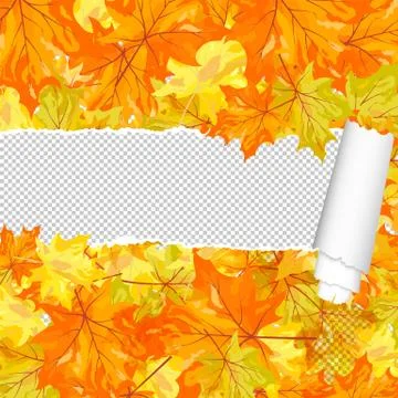 Autumn maple pattern with ripped stripe Illustrazione stock