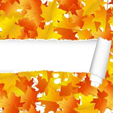 Autumn maple seamless pattern with ripped stripe Stock Illustration