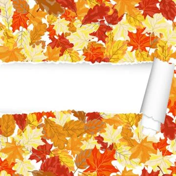 Autumn maple seamless pattern with ripped stripe Stock Illustration