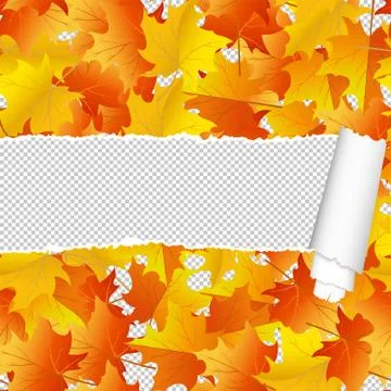 Autumn maple seamless pattern with ripped stripe 스톡 일러스트