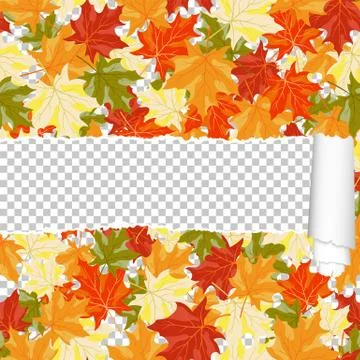 Autumn maple seamless pattern with ripped stripe Stock Illustration