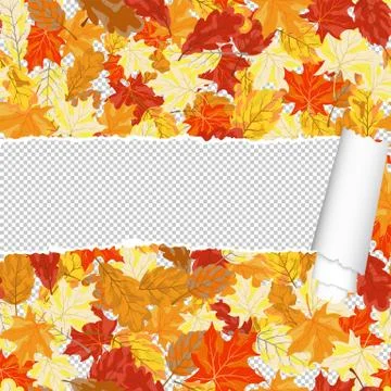 Autumn maple seamless pattern with ripped stripe Stock Illustration