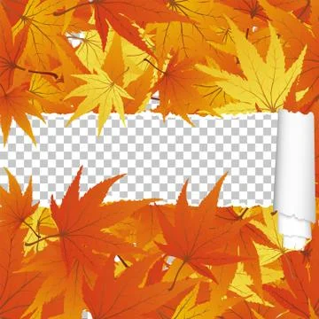 Autumn maple seamless pattern with ripped stripe Illustrazione stock