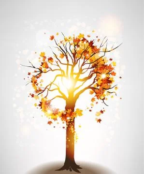 Autumn maple tree and sunlight Stock Illustration