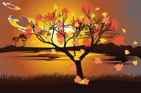 Autumn maple tree and sunset sky Stock Illustration