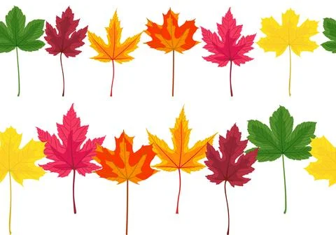 Autumn Maple Tree Leaf Horizontal Seamless Borders イラスト素材