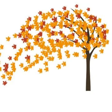 Autumn maple tree in the wind Illustrazione stock