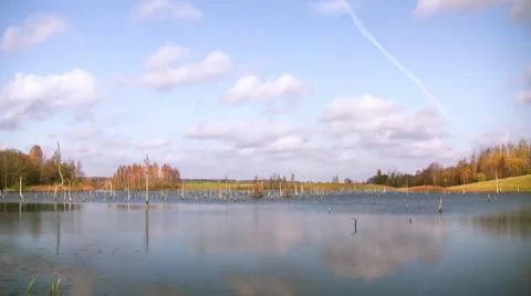 Autumn on marsh 스톡 동영상 1808244