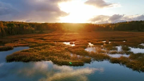 Autumn Marsh at Sunset – Low &amp; Slow Over Golden Wetlands in Southern Finland Vidéo 320621709