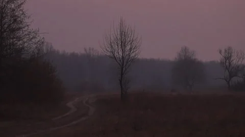 Autumn, meadow Stock Footage 44051771