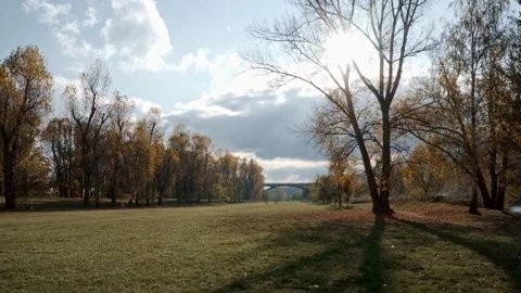 An autumn meadow. Video stock 151595455
