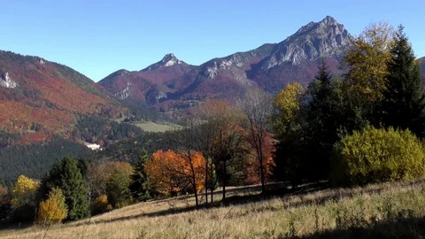 Autumn meadow on Prislope. 스톡 동영상 83035109