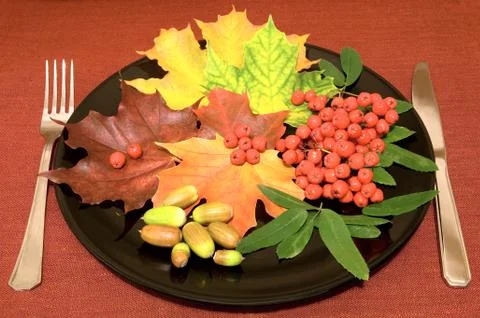 Autumn menu Stock Photos