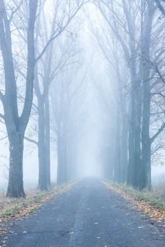 Autumn mist Stock Photos
