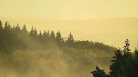 Autumn mist (time-lapse) Stock Footage 3678210