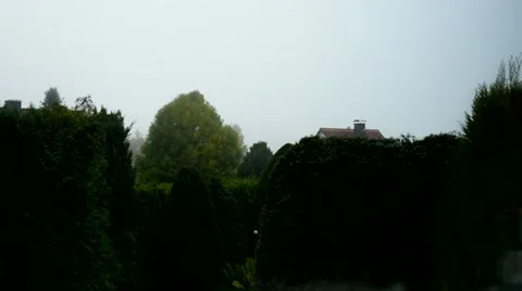 Autumn mist (time lapse) Stock Footage 43096244
