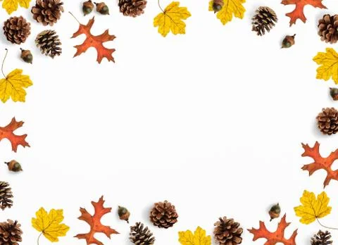 Autumn mockup scene. Creative fall composition made of colorful maple, oak Fotos Stock