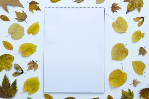Autumn mockup template notepad draw album fot your picture,art, hand lettering Stock Photos