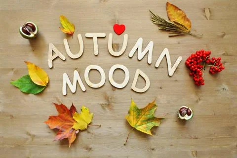 Autumn mood background Stock Photos