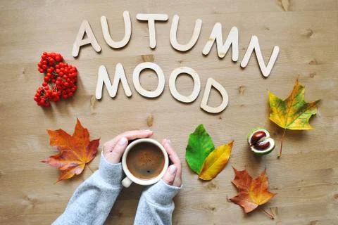 Autumn mood composition background Stock Photos