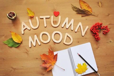 Autumn mood composition background Stock Photos