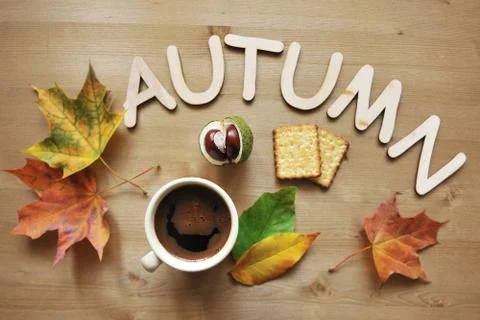 Autumn mood composition background Stock Photos