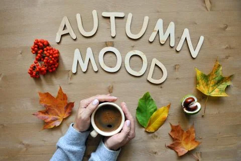 Autumn mood composition background Foto stock