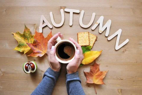 Autumn mood composition background Stock Photos