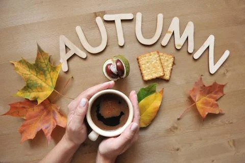Autumn mood composition background Stock Photos